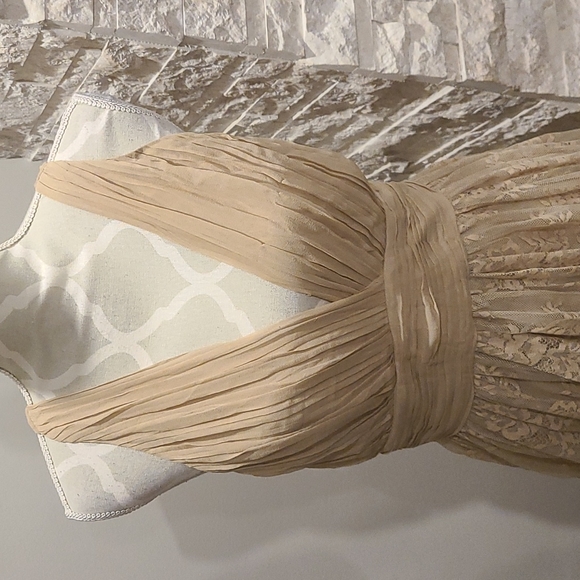 Zara silk blend lace sleeveless gown / dress - Picture 4 of 10